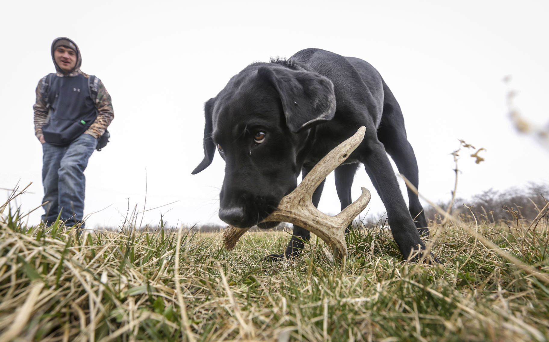 Shed hunting 12
